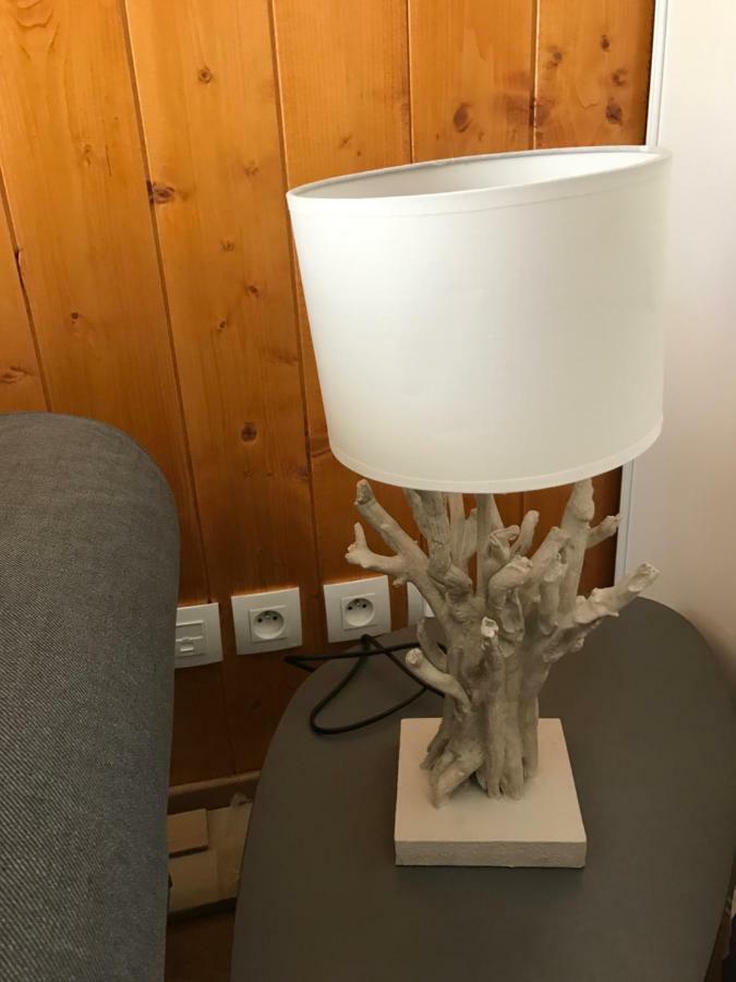 Appartement Tt Confort Au Coeur Des Montagnes Avec Vue Sur Les Montagnes Wifi Luz-Saint-Sauveur Dış mekan fotoğraf